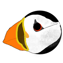 Digital artwork of a puffin's side profile drawn by puffinsea.
